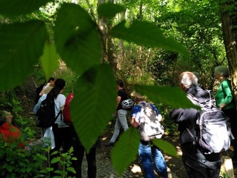 Bildrechte: Elfriede Maria Reininger